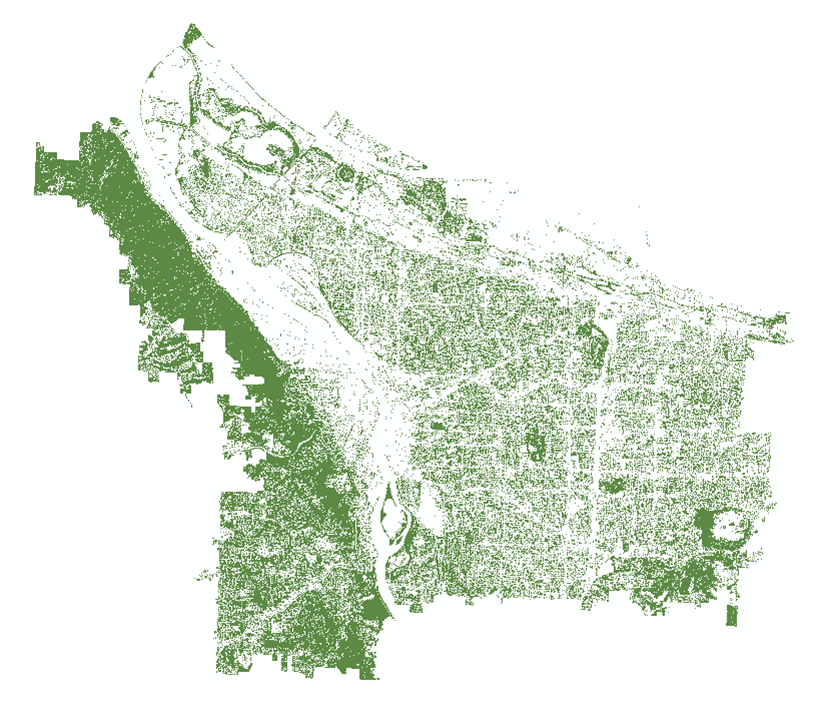 The output canopy layer from the NAIP imagery after post-classification smoothing and masking. Notice there are still a few holes in canopied areas of Forest Park – those pesky shadows!